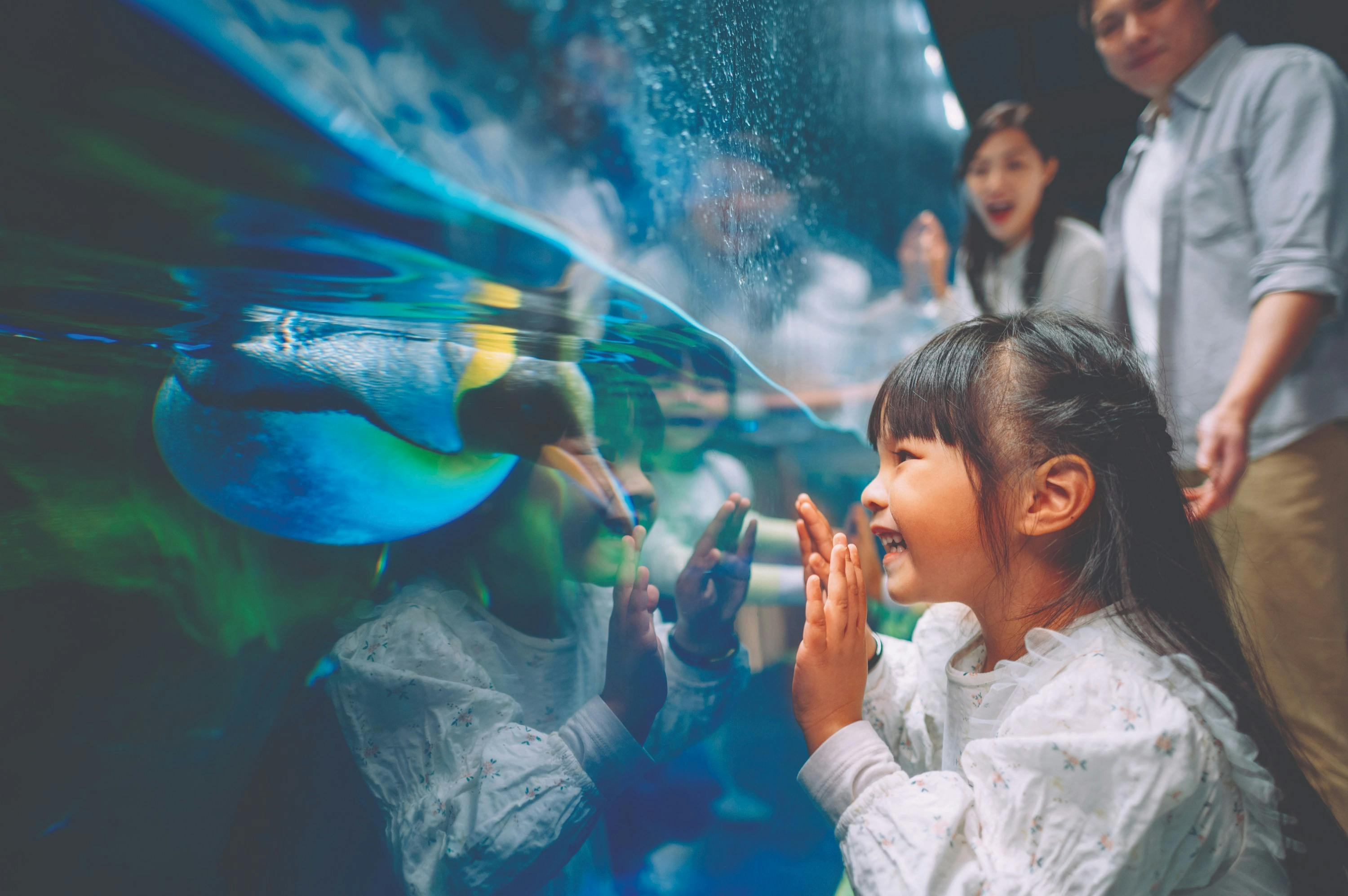 Ocean Park Hong Kong: Admission Ticket - Photo 1 of 13
